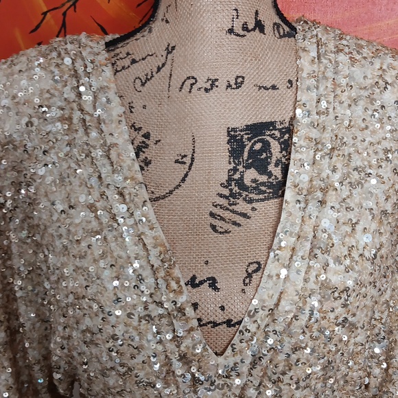 Retrofete Aubrielle Dress In Champagne Size Small - Picture 2 of 10